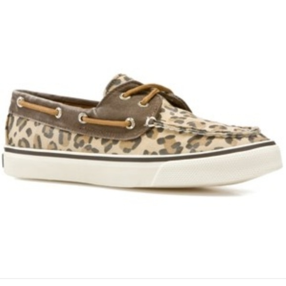 leopard sperry